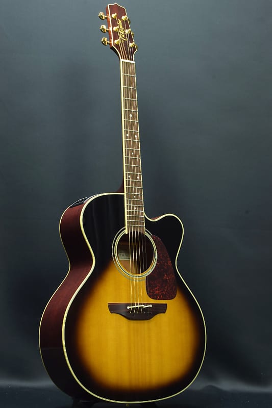 Takamine エレアコ　PTU010 Takamine エレアコPTU010