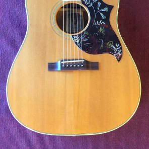 Gibson Hummingbird 1993 Natural image 2