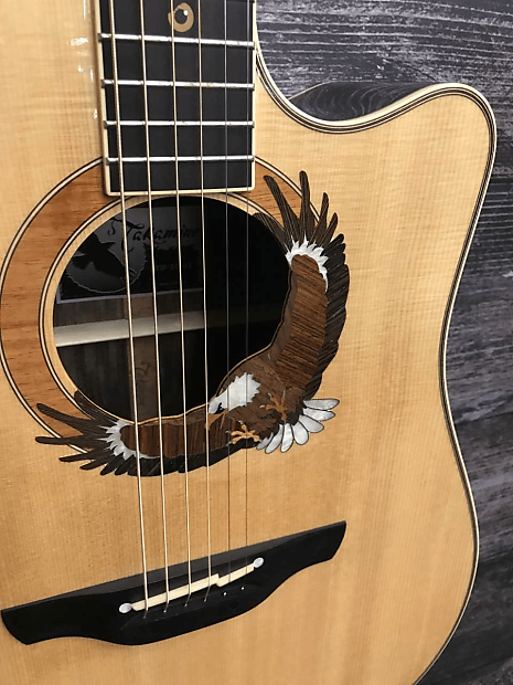 Takamine Ltd-2003 Eagle Safe delivery from Japan | eBay