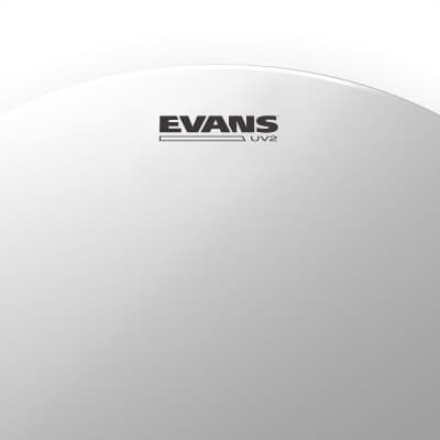 Evans UV2 Coated Drum Head - 16" image 2