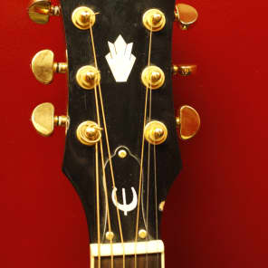 Epiphone PR-5E PR5ENA Acoustic Electric Guitar with Cutaway image 4