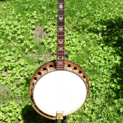 Paramount Style F Tenor Banjo William lange for sale