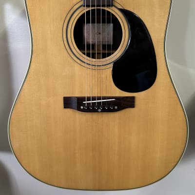 Beautiful 1973 CONN F-25 Acoustic (Rare) for sale