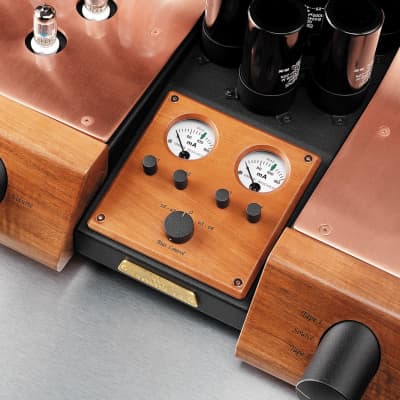 UNISON RESEARCH Absolute 845 SE - Dual Mono Integrated Tube Amplifier - NEW! image 2