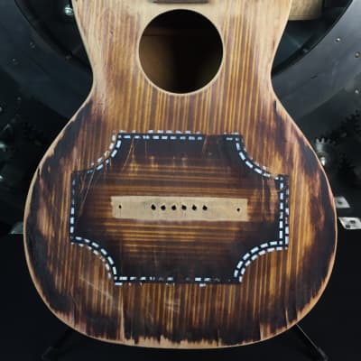 Regal Parlor Acoustic Project Guitar image 4