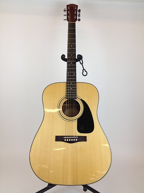 Fender dg store 11