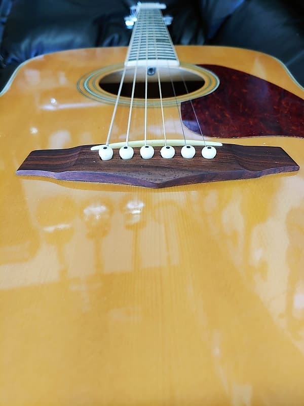 Ibanez pf10nt deals