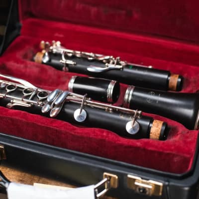 Buffet R13 Greenline Bb Clarinet Used Reverb