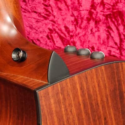 Taylor 324ce Grand Auditorium Mahogany/Blackwood Cutaway Acoustic/Electric with V-Class Bracing image 13