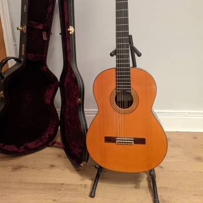 Pavan TP-30 2003 - Spruce Spanish Classical Guitar with Custom Case for sale
