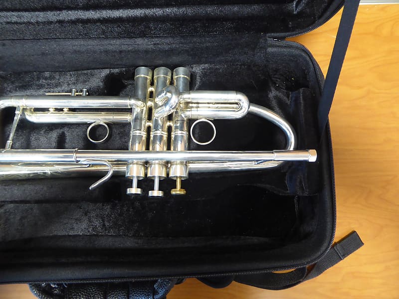 Mandala trumpet deals price