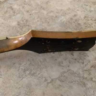 Gibson TB Tenor Banjo Neck Only 21" Scale 1918- 20s image 6