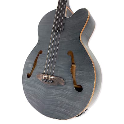Aria FEB-F2/FL | Reverb