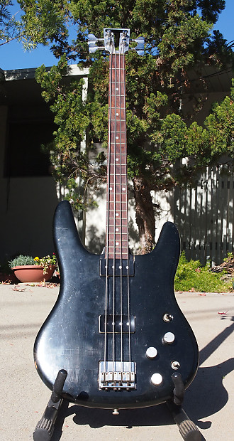Travis bean best sale bass