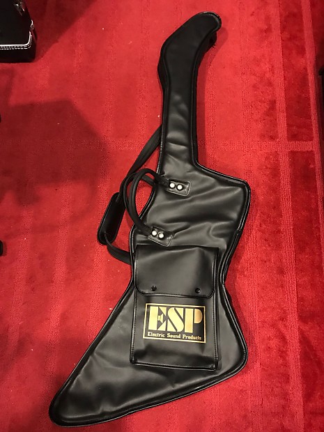 Explorer guitar 2024 gig bag