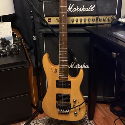 #20 Washburn N2 image 2