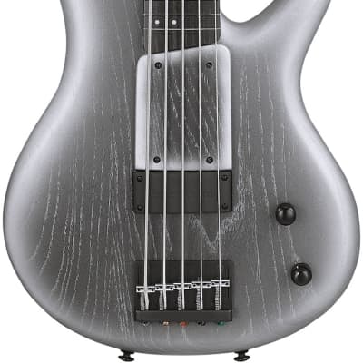 Ibanez Gary Willis 25th-anniversary Signature 5-string Fretless Electric Bass Silver Wave Burst Flat w/Padded Gig Bag for sale