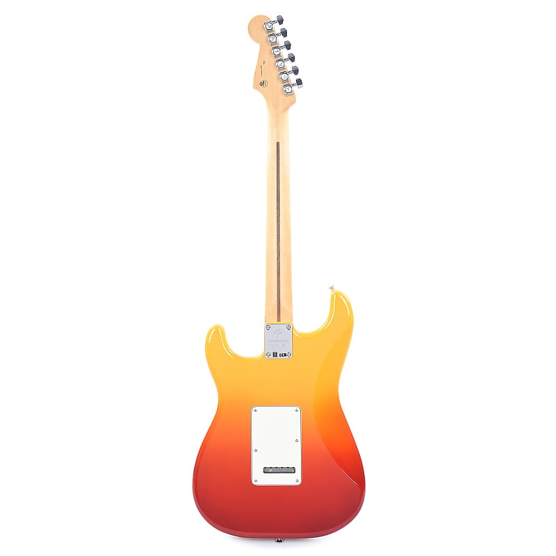 Fender Player Plus Stratocaster image 5