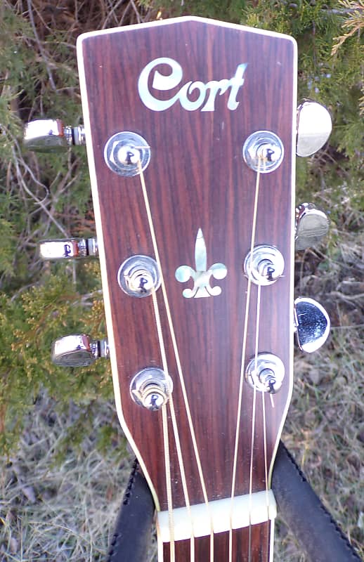 Cort Earth 200 Acoustic Guitar