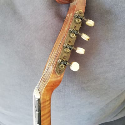 Francesco Olivieri Mandolino image 10