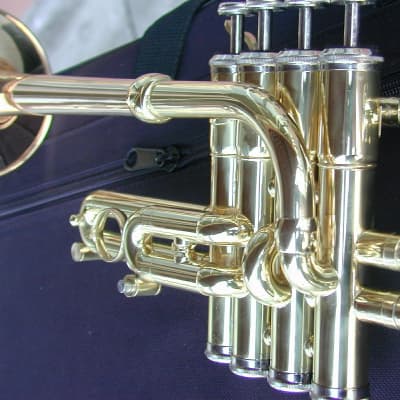Berkeleywind Bb/A/G Piccolo Trumpet (GoldBrass Stomvi Style) image 12