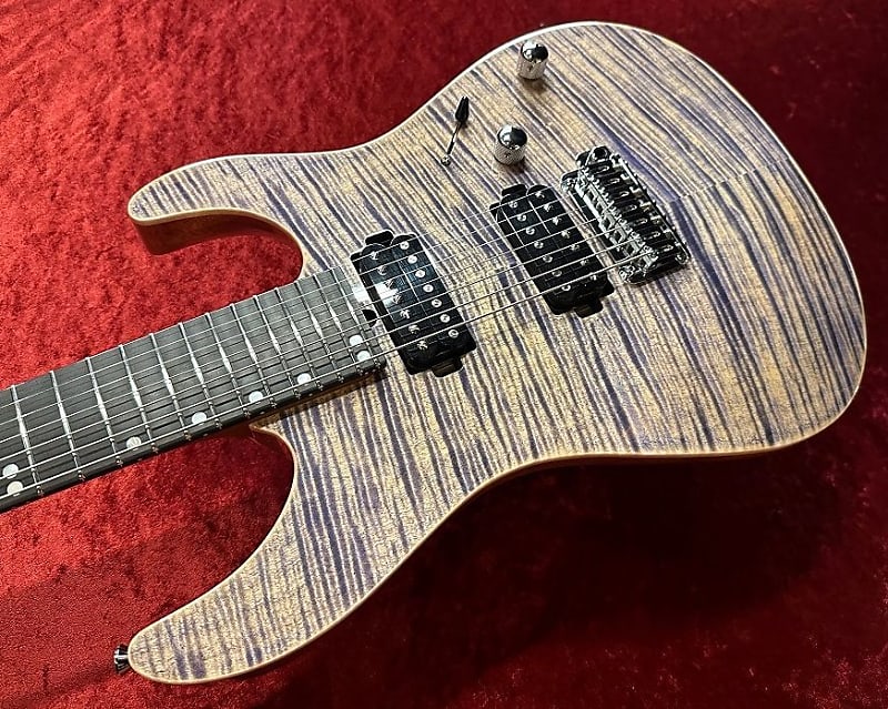 T’s guiters DST-24 order T's Guitars DST-Pro 24 Custom Whale Blue Burst 2018 中古