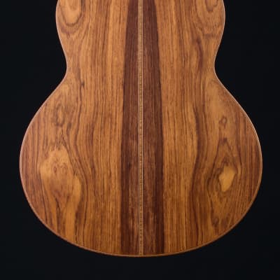 Lowden F-50 Fan Fret Sinker Rosewood and Alpine Spruce 2021 Winter Limited Edition NEW image 5