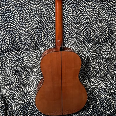stagg classical acoustic guitar w/chipboard style case image 6