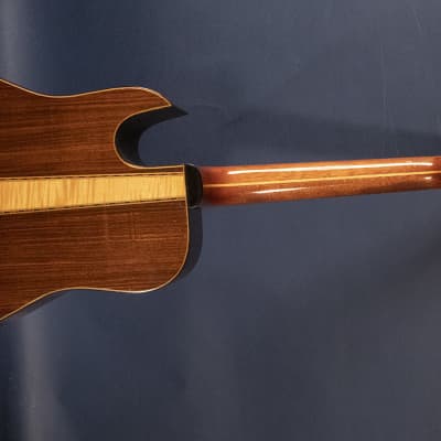 1974 Hoffman Deluxe 12 String Cutaway image 2
