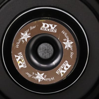 DV Mark C 212 FG 2x12 Guitar Speaker Cabinet w/ Case Frank Gambale #39368 image 17