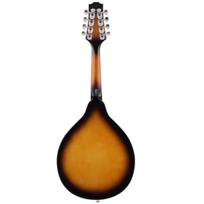 A Style Mandolin Instrument Sunburst Mahogany DML-1 With Tuner String Big Bag and Guitar Picks image 4