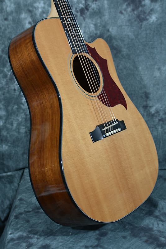 Gibson Hummingbird Walnut M (Avant Garde AG) 2018 - 2019 | Reverb