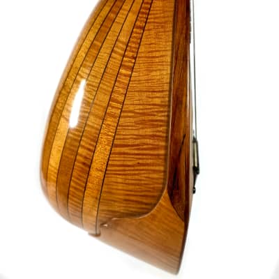 Pasquale Vinaccia Mandolin from 1883 image 6