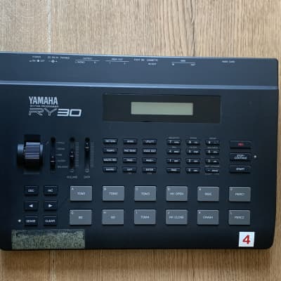 Yamaha RY30