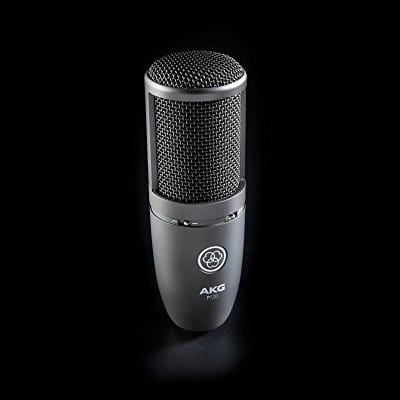 P120  High-performance general purpose recording microphone