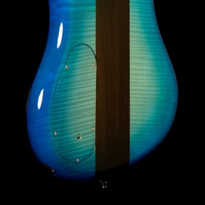 Warwick Thumb Bass Custom Shop Limited 2017 | Reverb