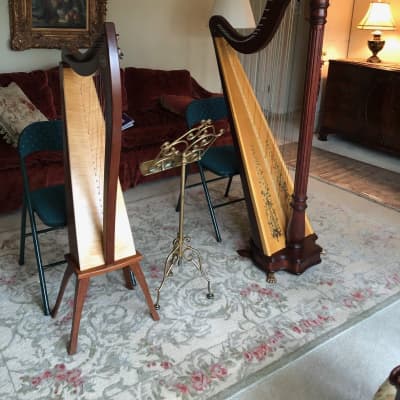 Prelude Lyon and Healy 40 String Model Harp image 8
