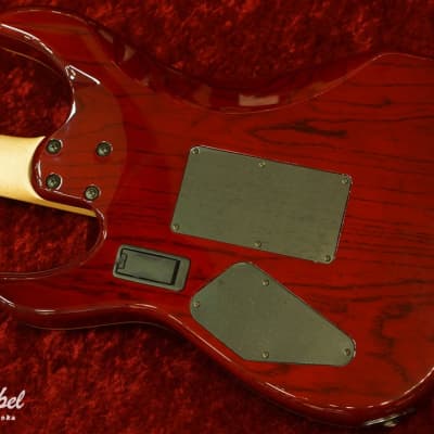SCHECTER シェクター NV-IV-24-FM / AS-LTD RED SCHECTER シェクター NV-IV-24-FM / AS-LTD RED SCHECTER [USED