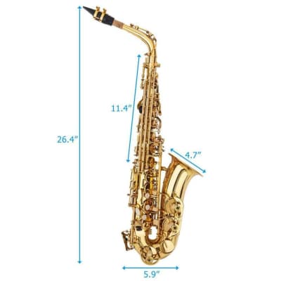 New Student Paint Gold Alto Eb Sax Saxophone w/ Case Accessories Carrying Bag image 5