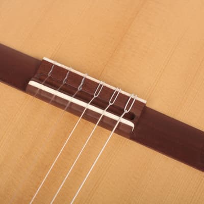 Taylor Academy 12E N / Nylon String - Authorized Online Dealer