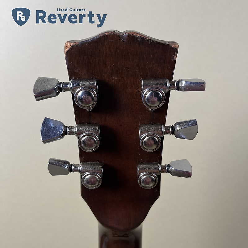 Aria Pro II LS-500 Leo Pard Standard Brown Sunburst MIJ
