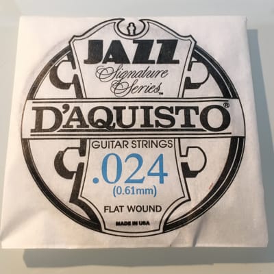 D'Aquisto RARE Jazz Signature Series String .024" Flatwound image 1