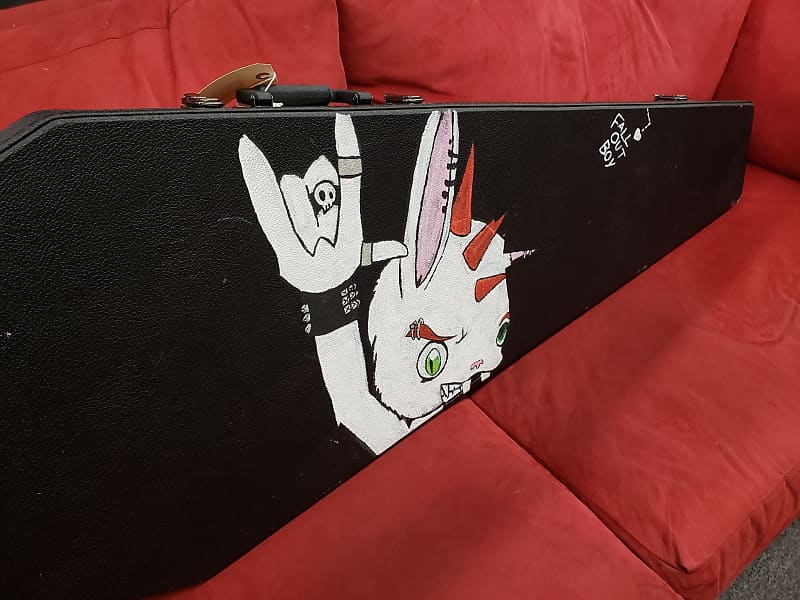 Coffin Case Guitar or Bass Case Not Sure Punk Rock Rabbit image 1