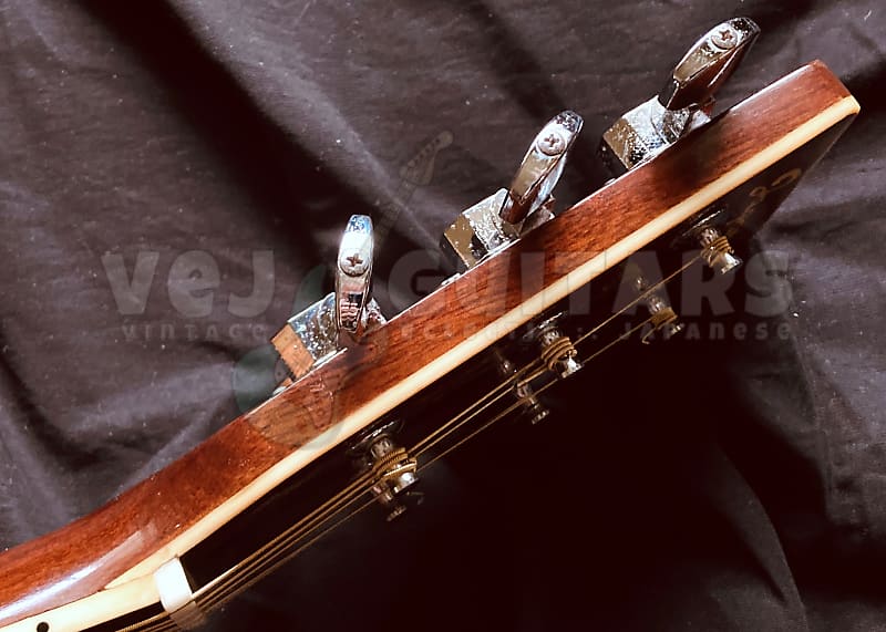 JAGARD (by TERADA) 'TREE OF LIFE' LUXURY DREADNOUGHT MIJ