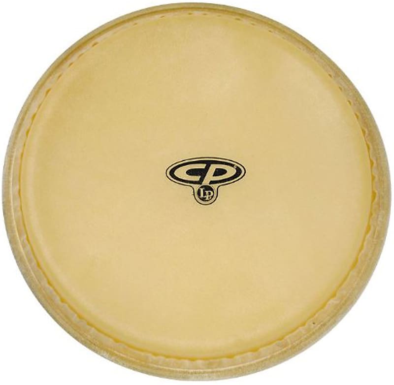 Head Conga LP CP636B 10 Conga Head for CP636WRB Reverb