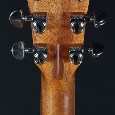 Cole Clark SAN1EC-BLBL Blackwood Acoustic Electric Guitar w/ Gig Bag image 9