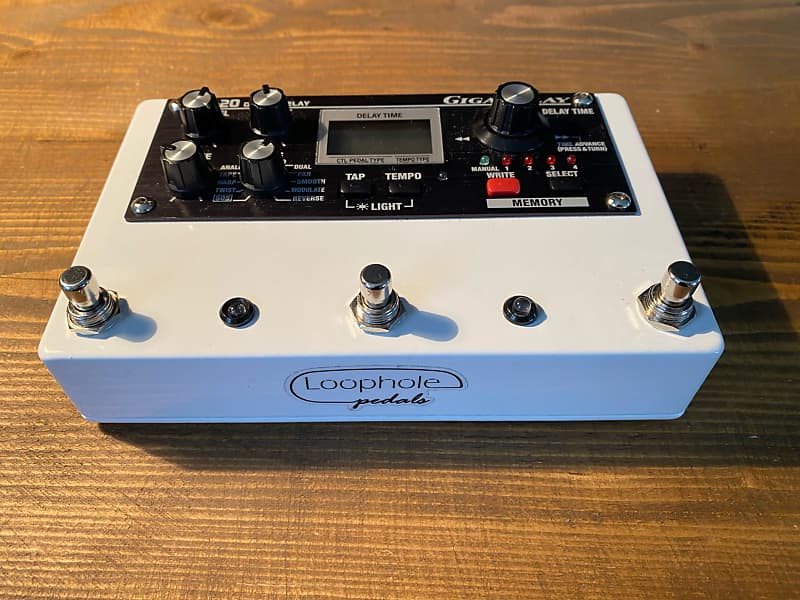 Loophole Pedals - Rehoused Boss DD-20 Giga Delay 2010 - 2018