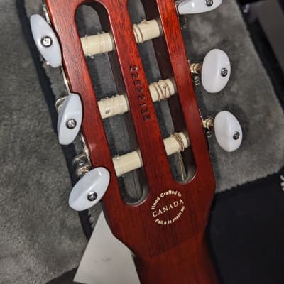 Godin Multiac Grand Concert Nylon image 15