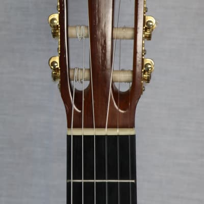Superior Brand Classical Cutaway Guitar - Made in Mexico - Berkeley Music Instrument Co. image 7