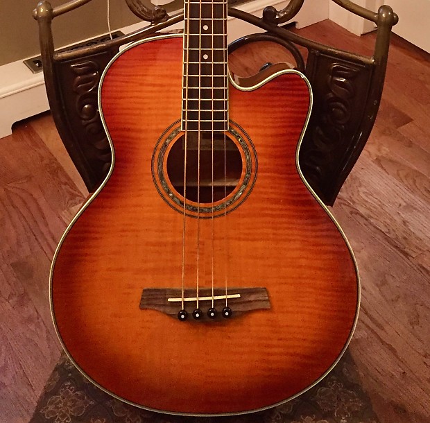Ibanez aeb20e store